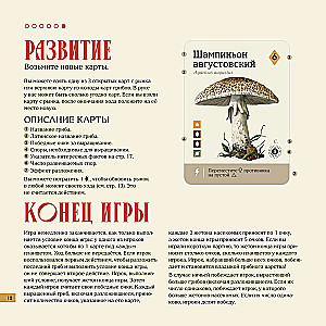 Stalo žaidimas - Micelijus